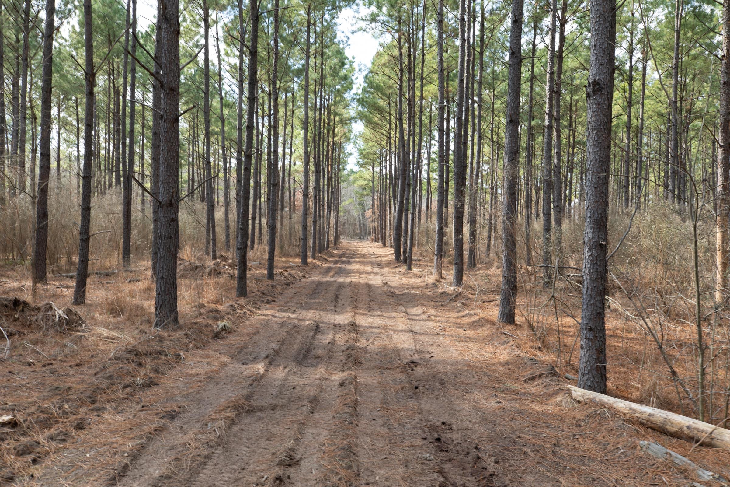 Wishing Star Ranch Tract 53 photo 1