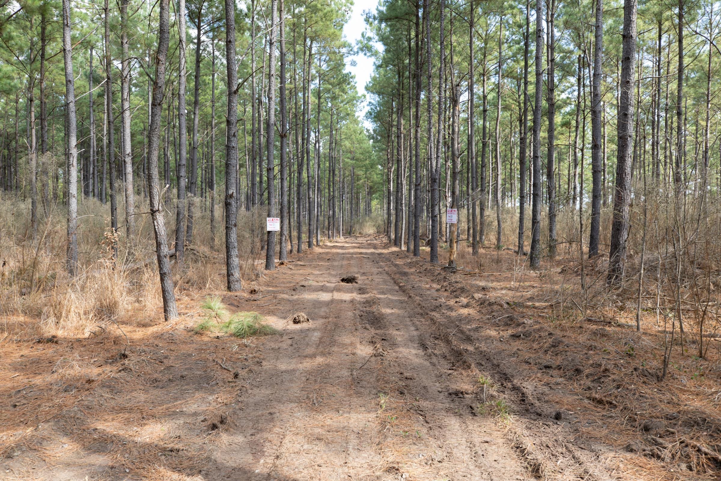 Wishing Star Ranch Tract 53 photo 3