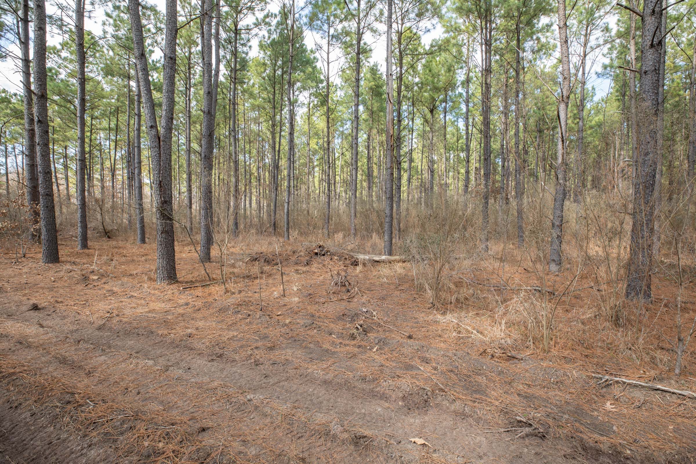Wishing Star Ranch Tract 53 photo 6