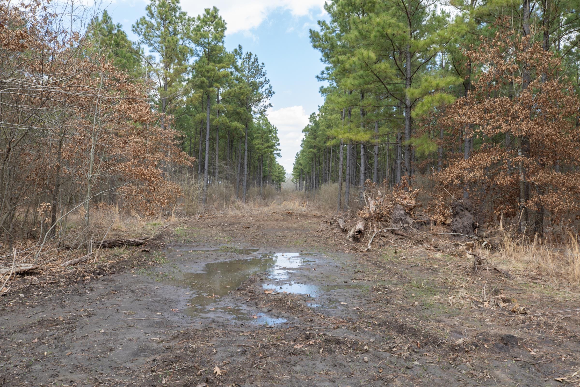 Wishing Star Ranch Tract 53 photo 7