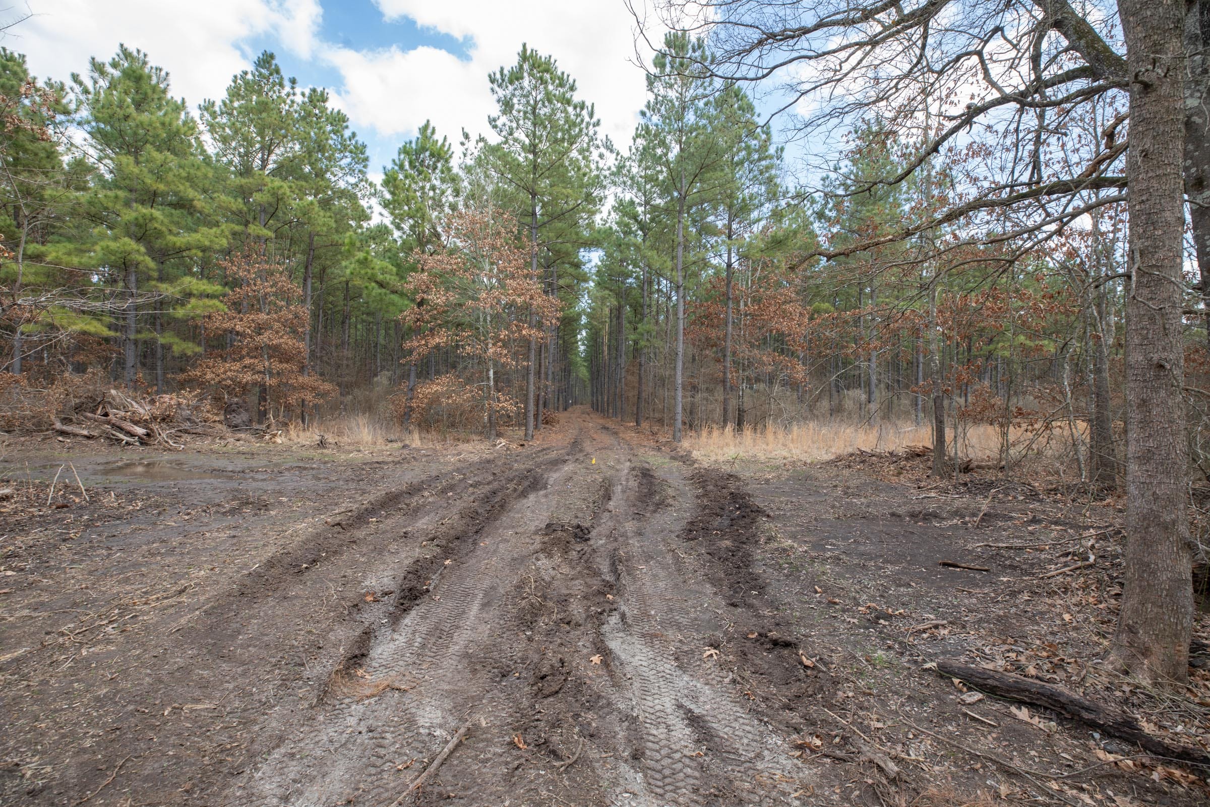 Wishing Star Ranch Tract 53 photo 5