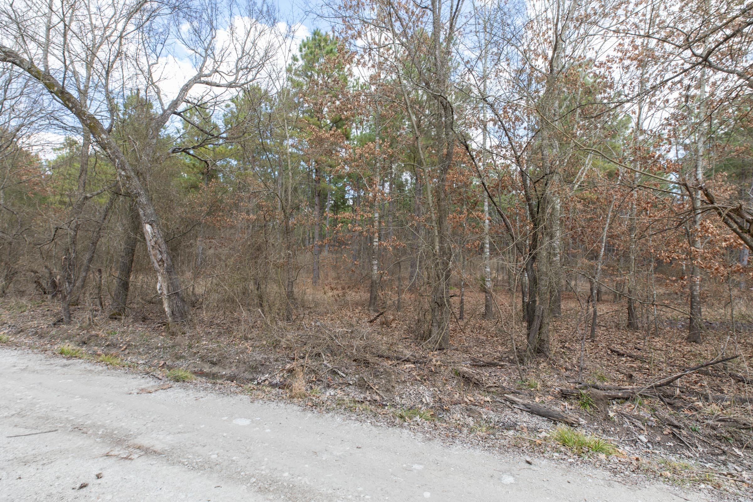 Wishing Star Ranch Tract 53 photo 12