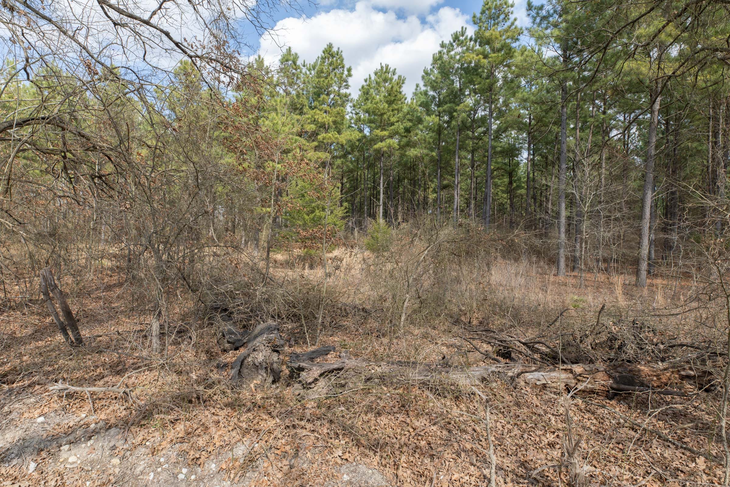 Wishing Star Ranch Tract 53 photo 8