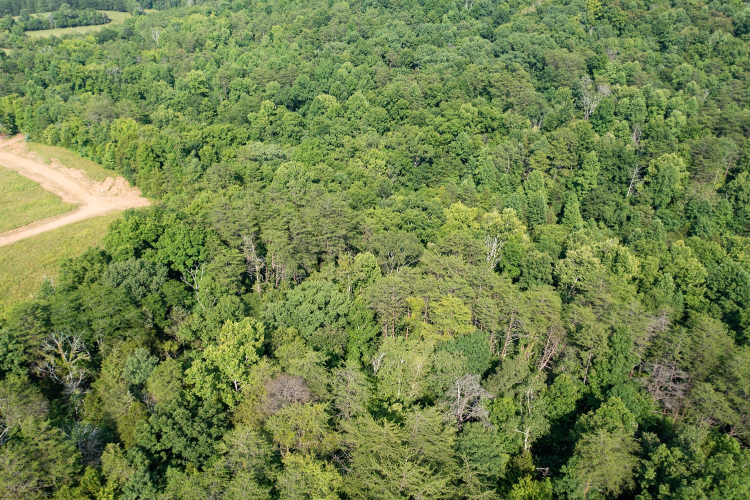 Rolling Hills Tract 28 photo 5