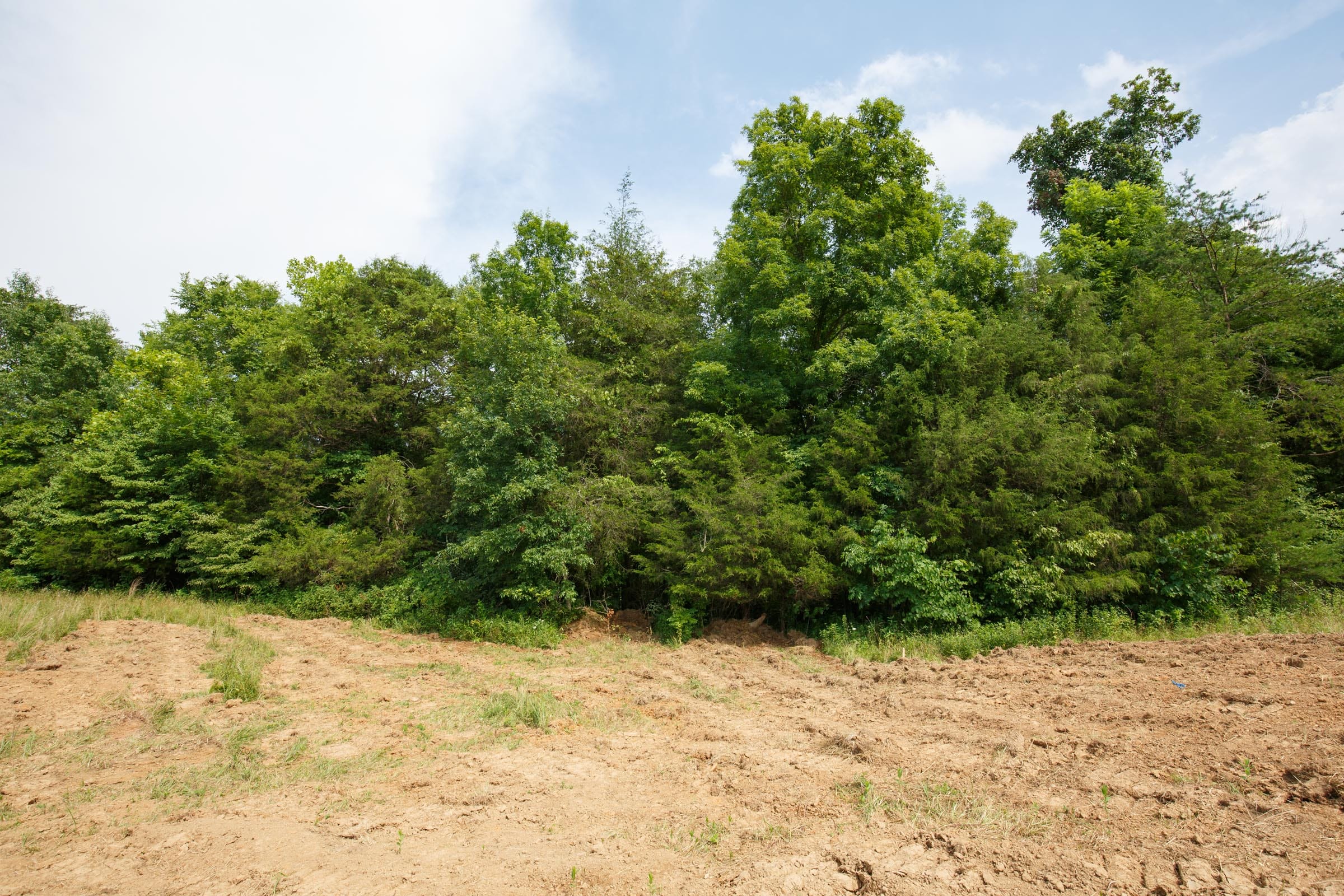 Rolling Hills Tract 28 photo 4