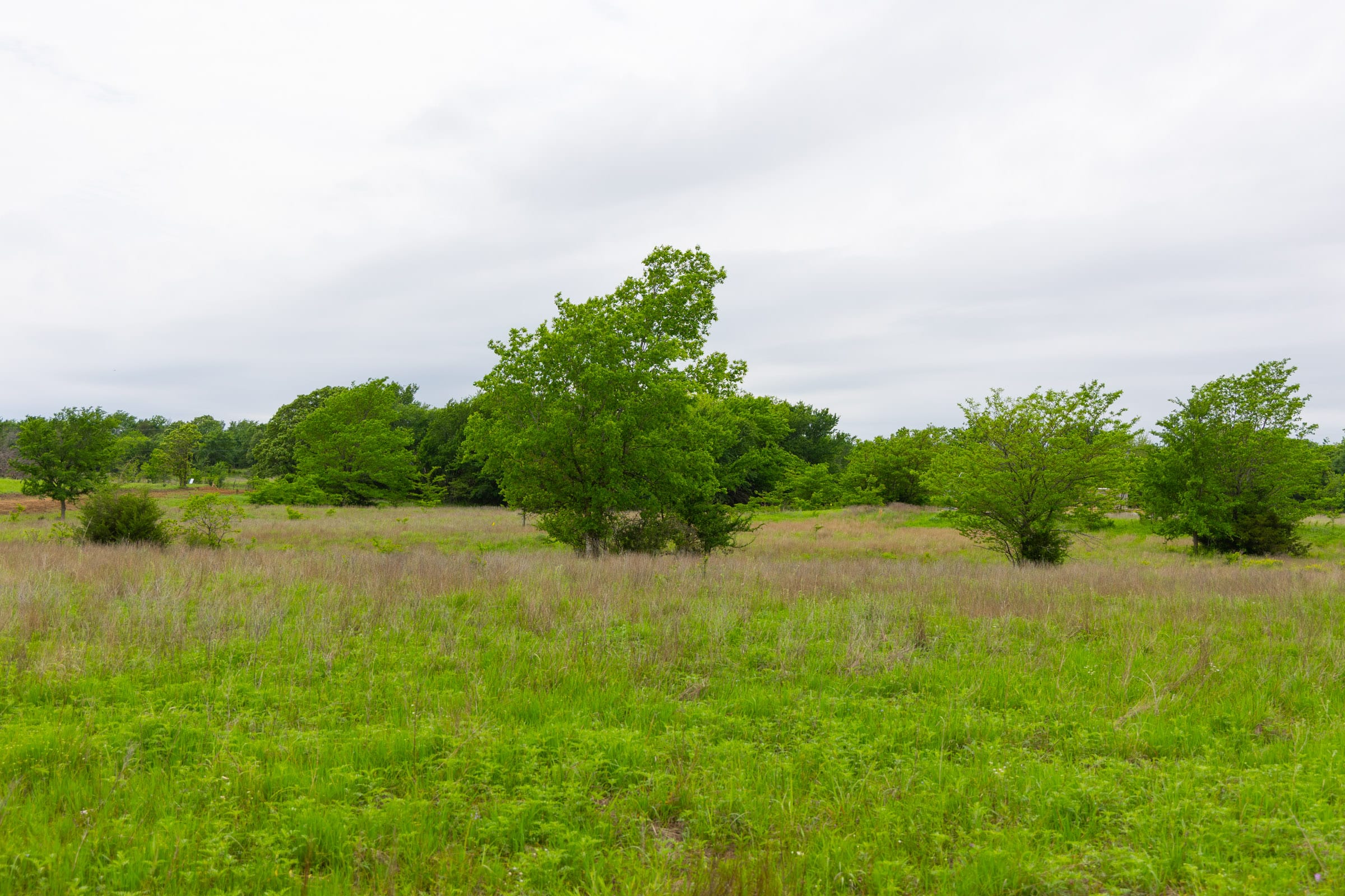 Harmony Hills Tract 11 photo 5