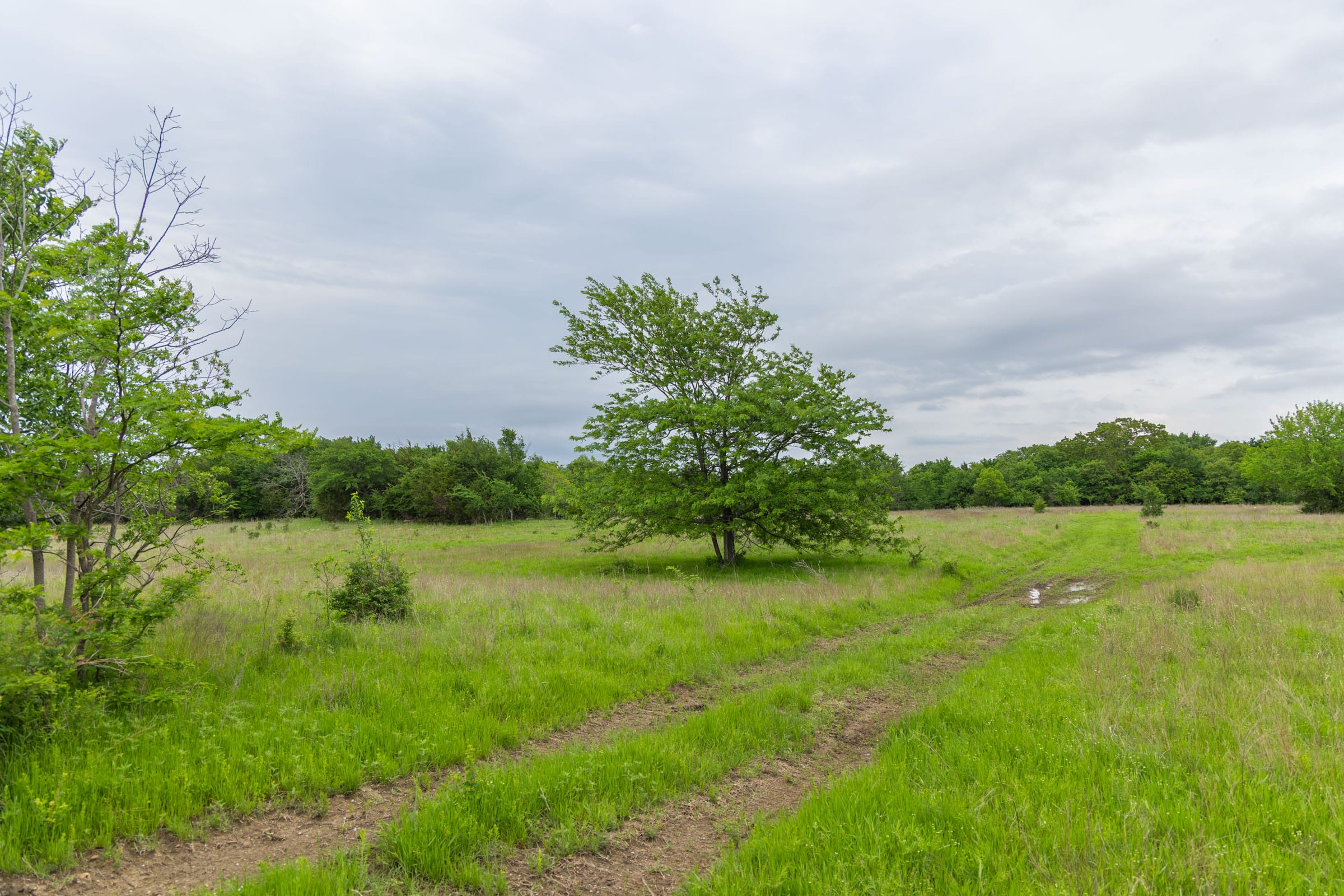 Harmony Hills Tract 11 photo 3