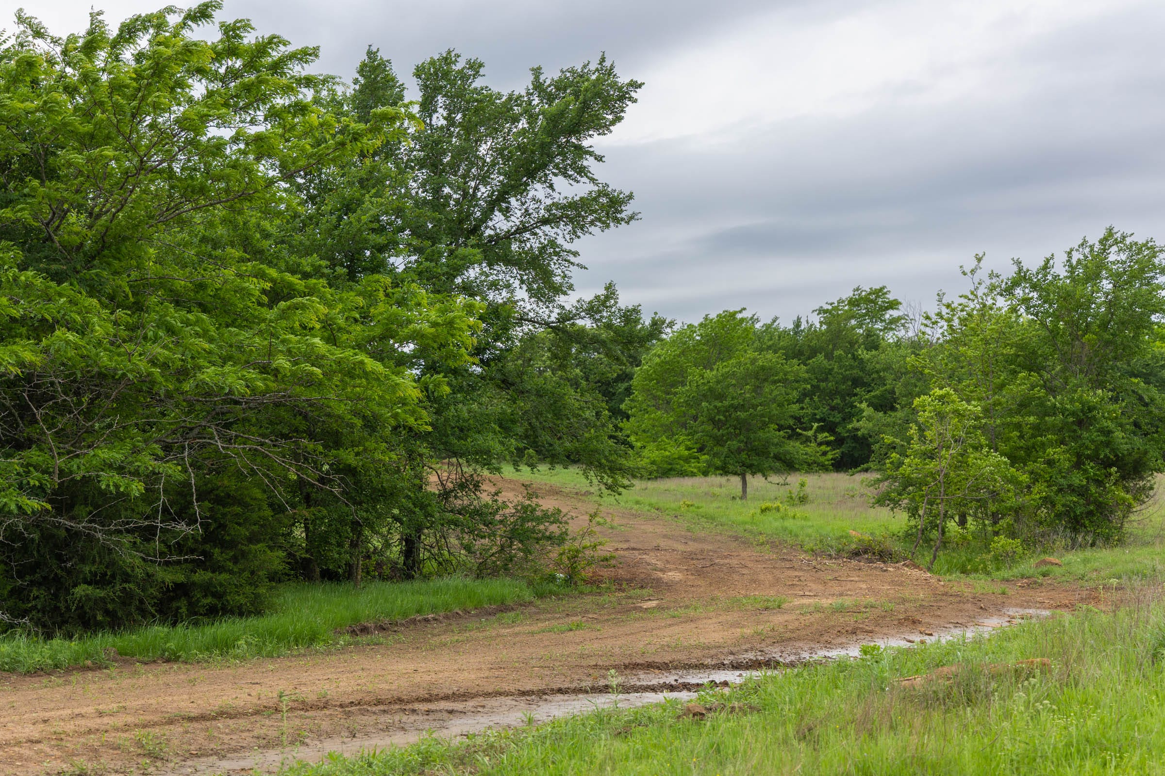 Harmony Hills Tract 11 photo 7