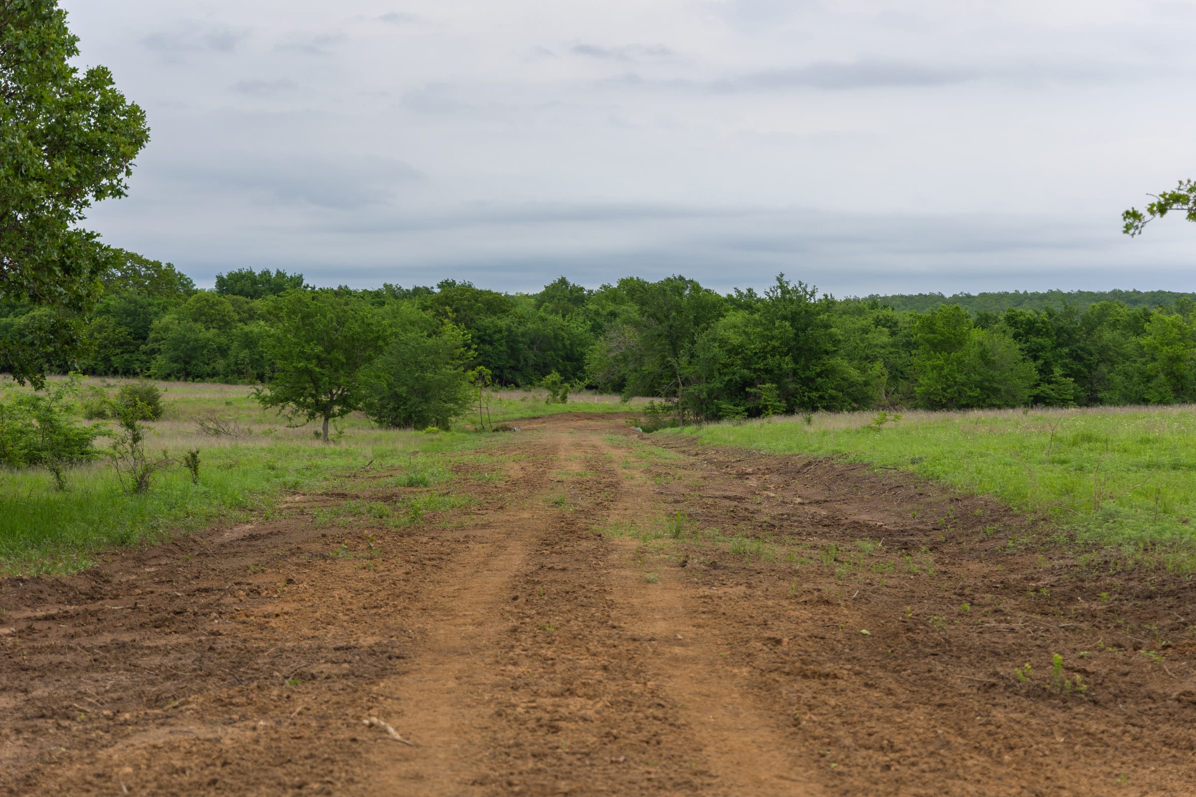 Harmony Hills Tract 11 photo 11