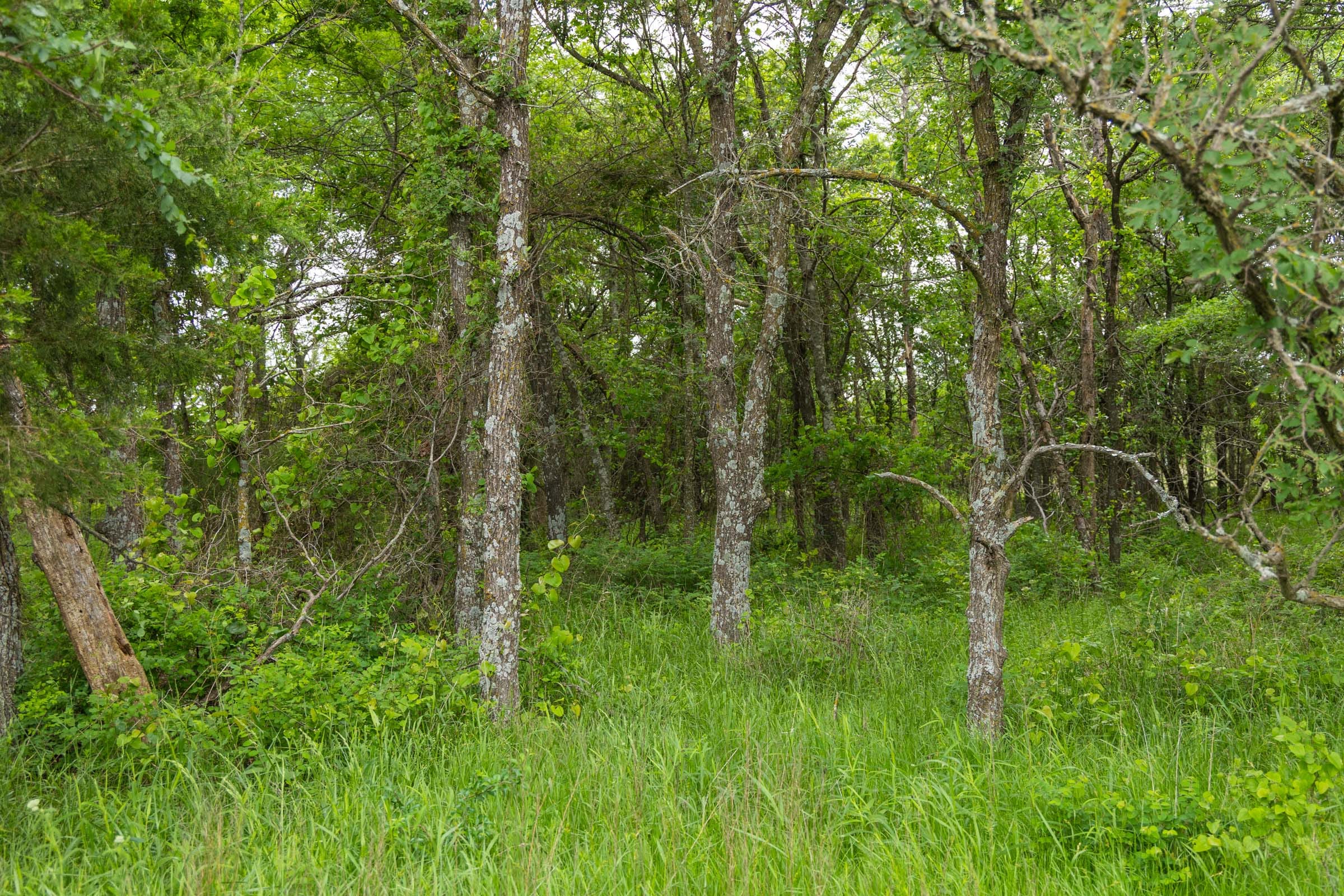 Harmony Hills Tract 11 photo 13