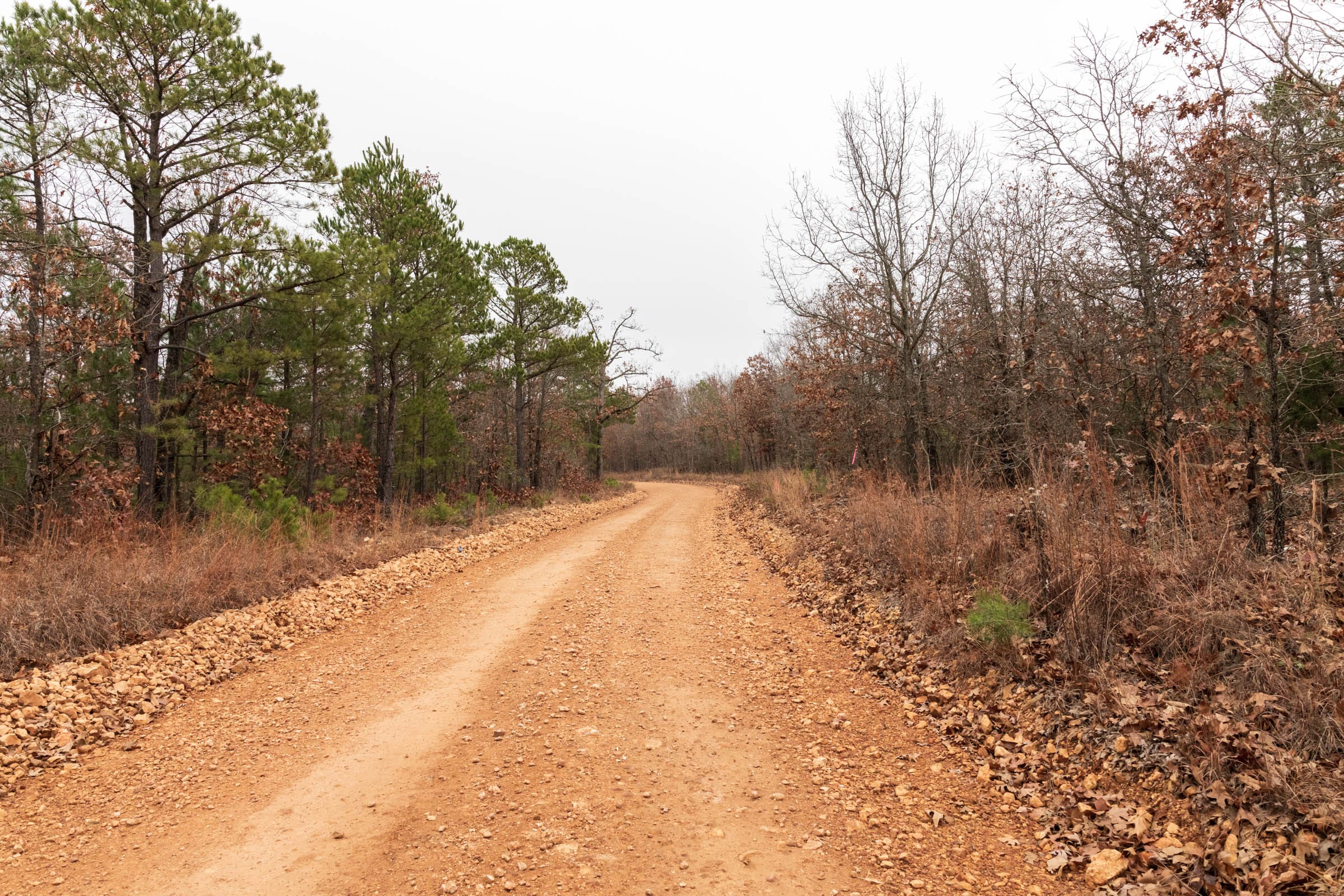 Carter’s Crossing Tract 1 photo 1