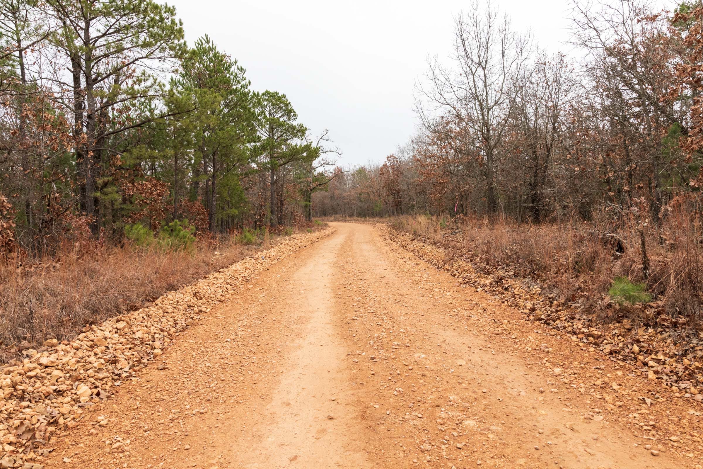 Carter’s Crossing Tract 1 photo 4