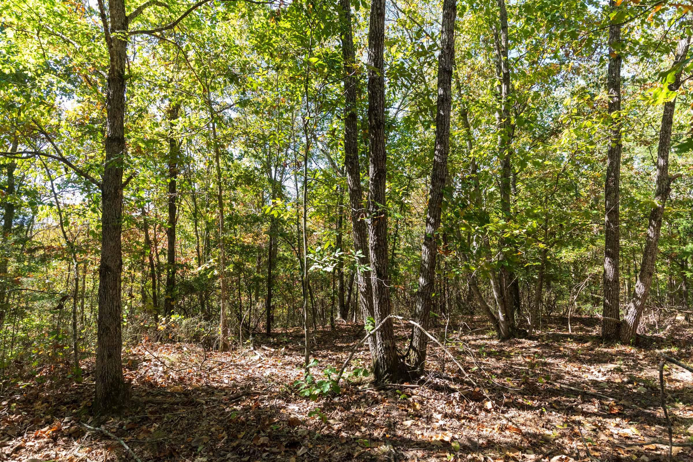 Bear Brook Tract 17 photo 4