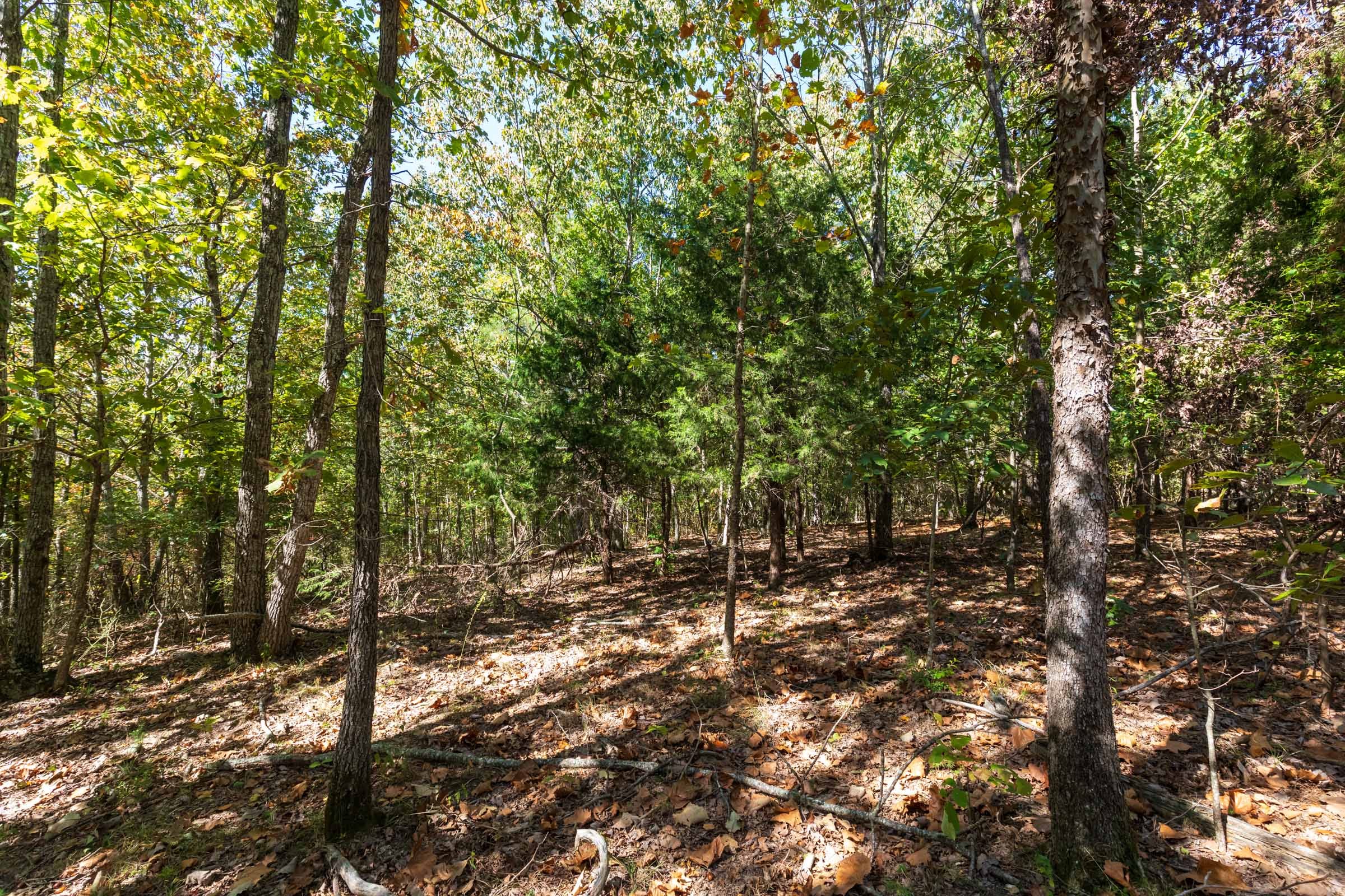 Bear Brook Tract 17 photo 3
