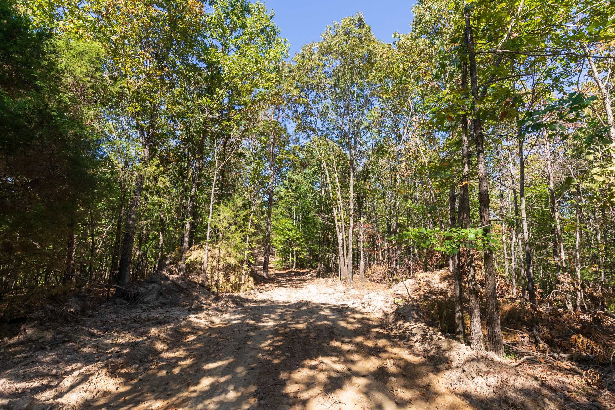 Bear Brook Tract 17 photo 1