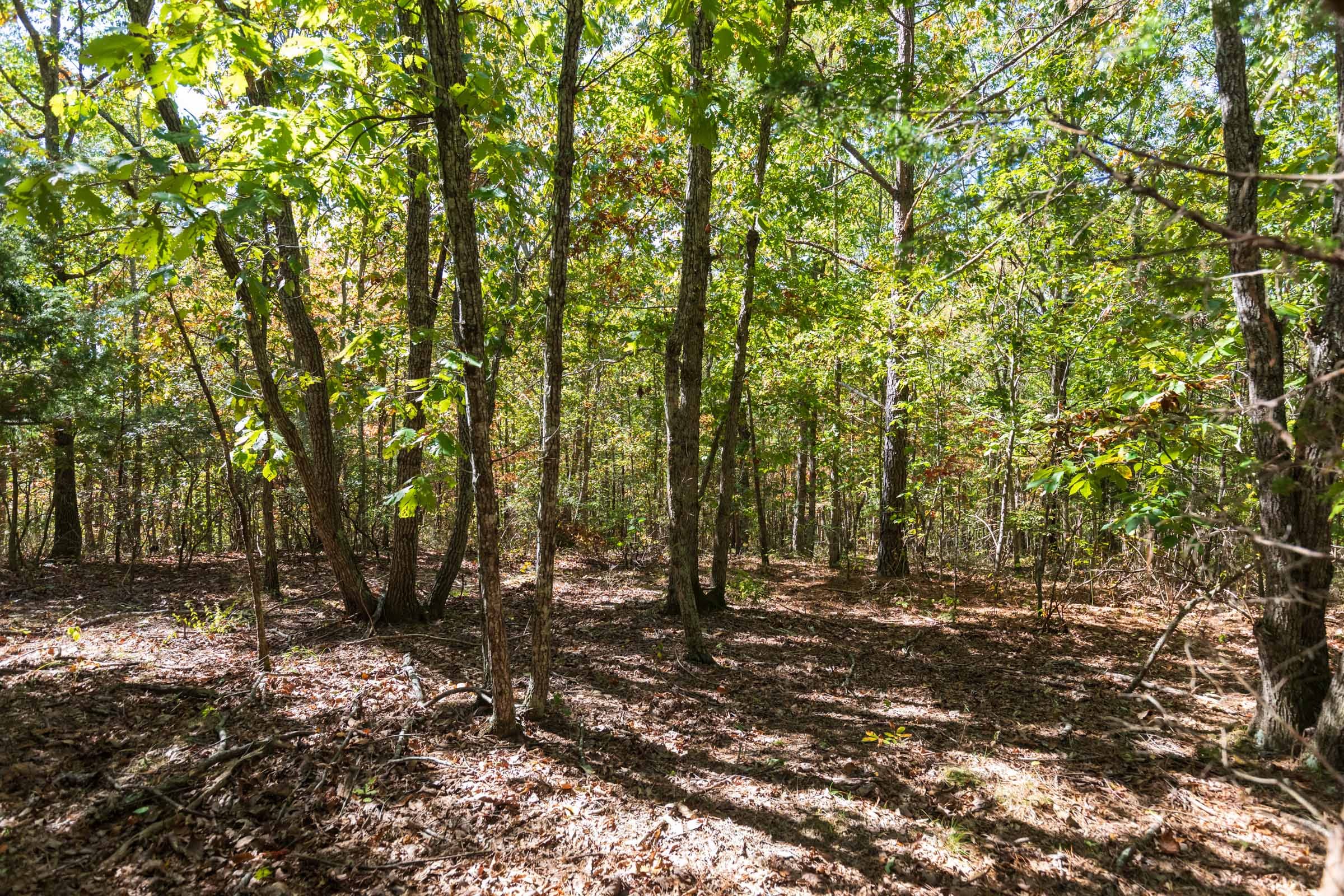 Bear Brook Tract 17 photo 6
