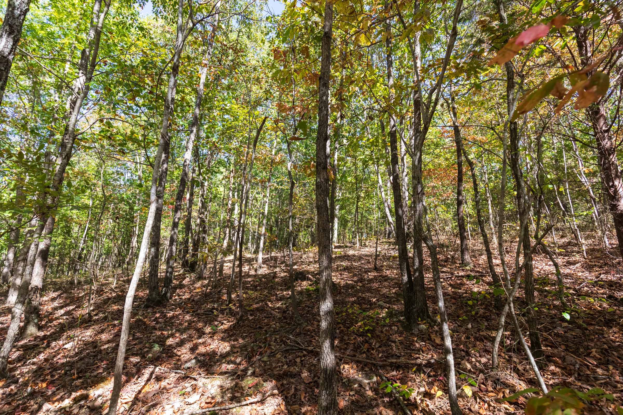 Bear Brook Tract 17 photo 9