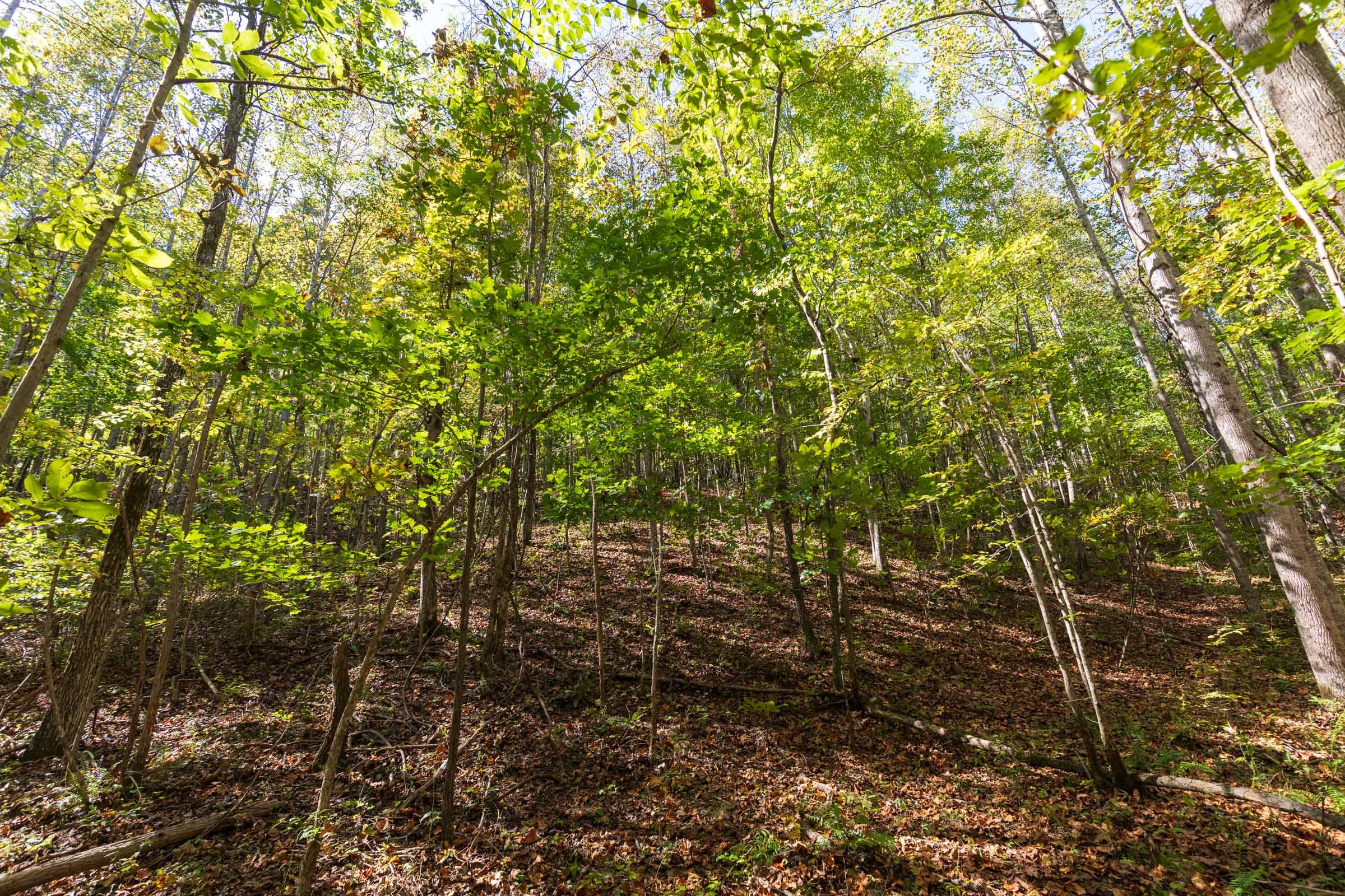 Bear Brook Tract 17 photo 7