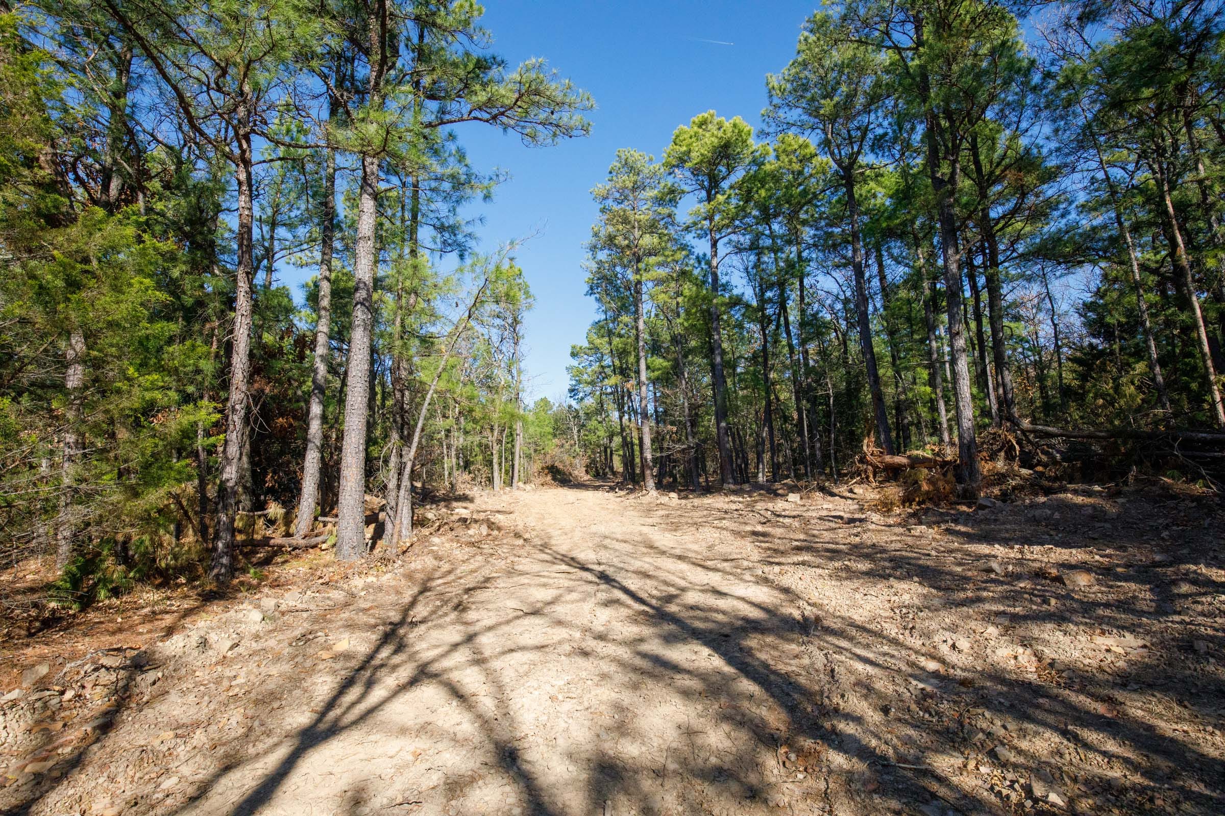 Stone Bridge Phase II Tract 103 photo 1
