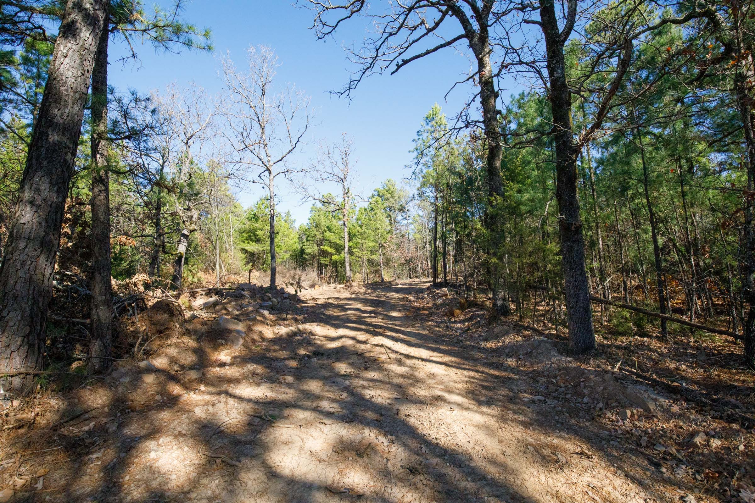 Stone Bridge Phase II Tract 103 photo 4
