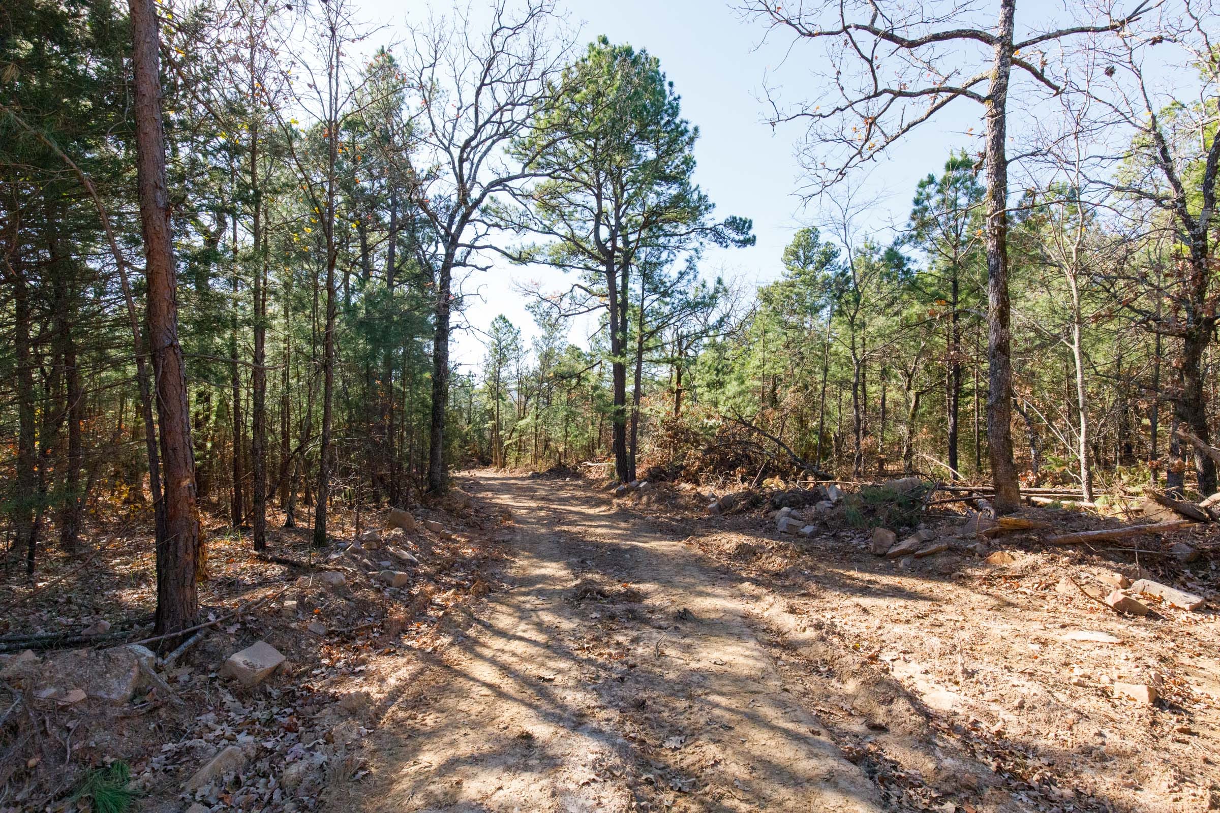 Stone Bridge Phase II Tract 103 photo 7