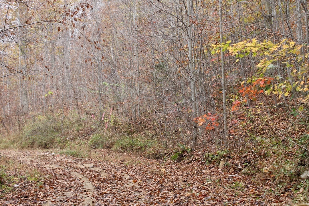 Autumn Ridge Tract 16 photo 1