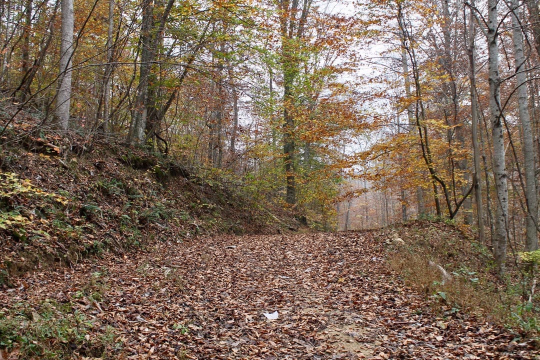 Autumn Ridge Tract 16 photo 2