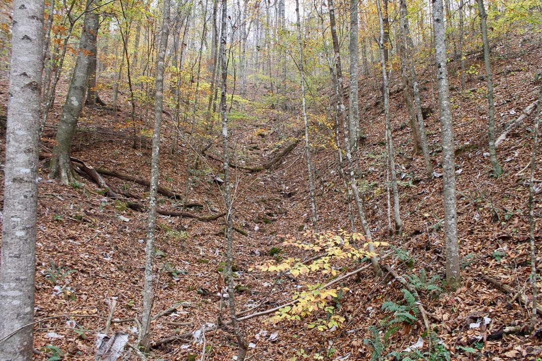 Autumn Ridge Tract 16 photo 3