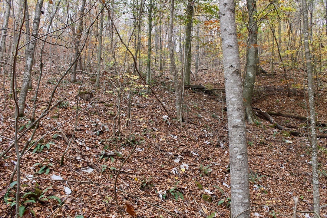 Autumn Ridge Tract 16 photo 4