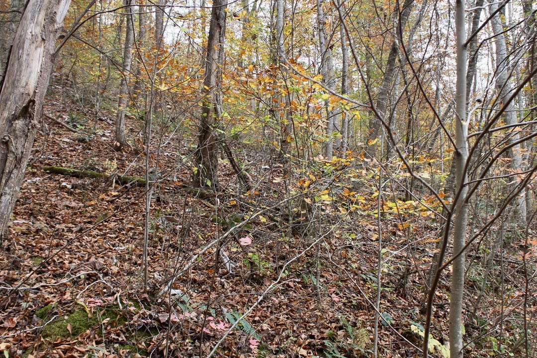 Autumn Ridge Tract 16 photo 7