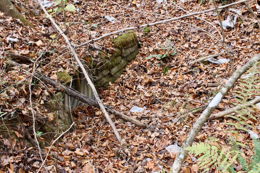 Autumn Ridge Tract 16 photo 8