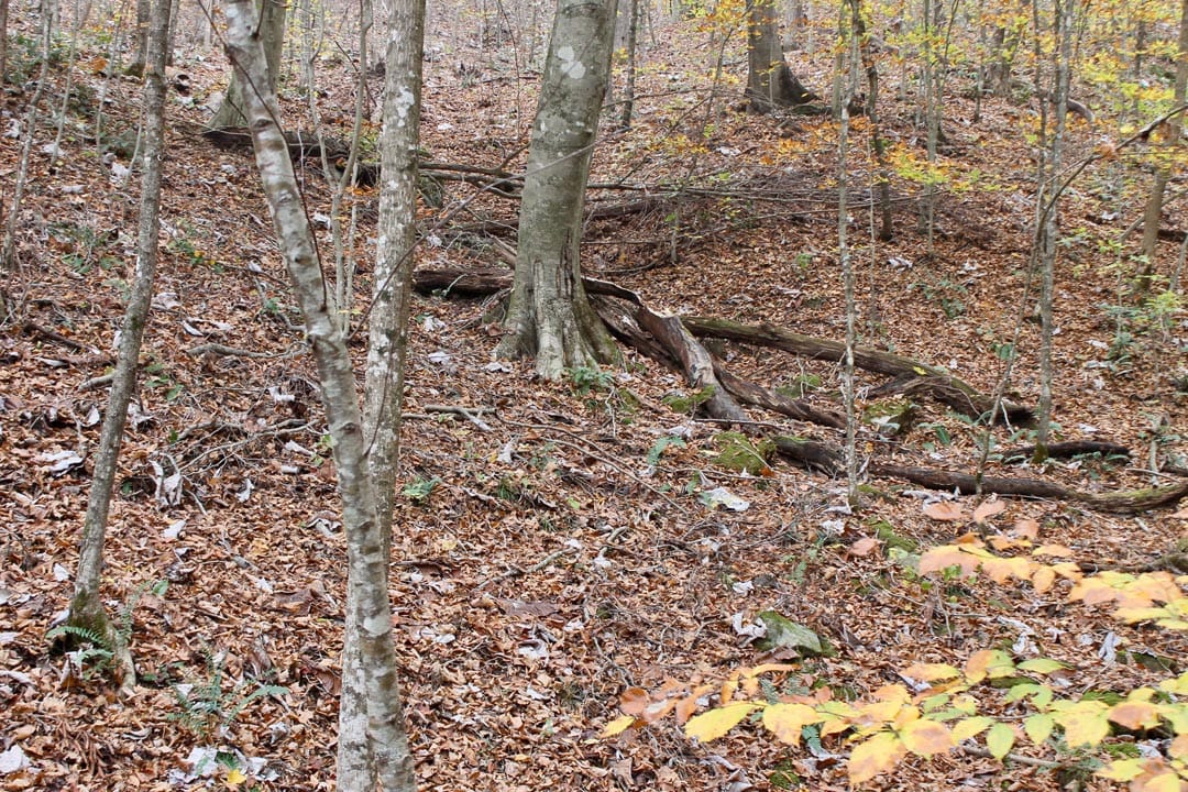 Autumn Ridge Tract 16 photo 9