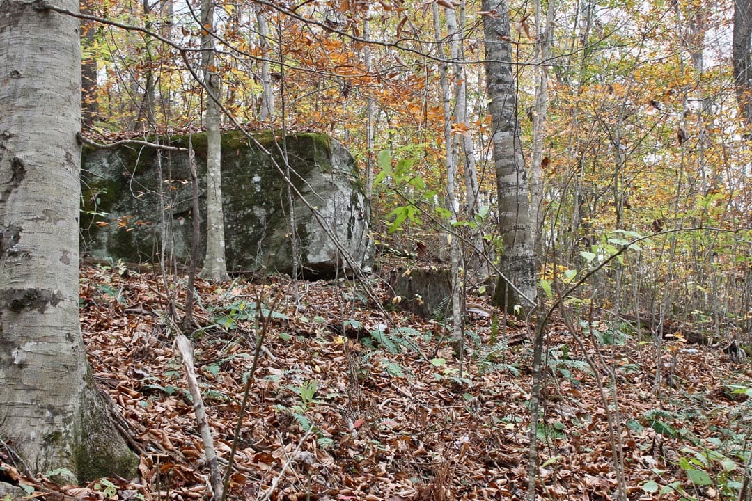 Autumn Ridge Tract 16 photo 10