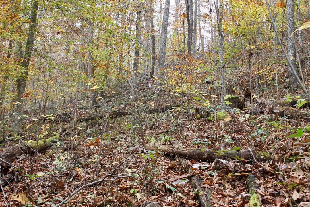 Autumn Ridge Tract 16 photo 11
