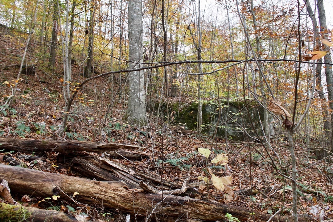 Autumn Ridge Tract 16 photo 12