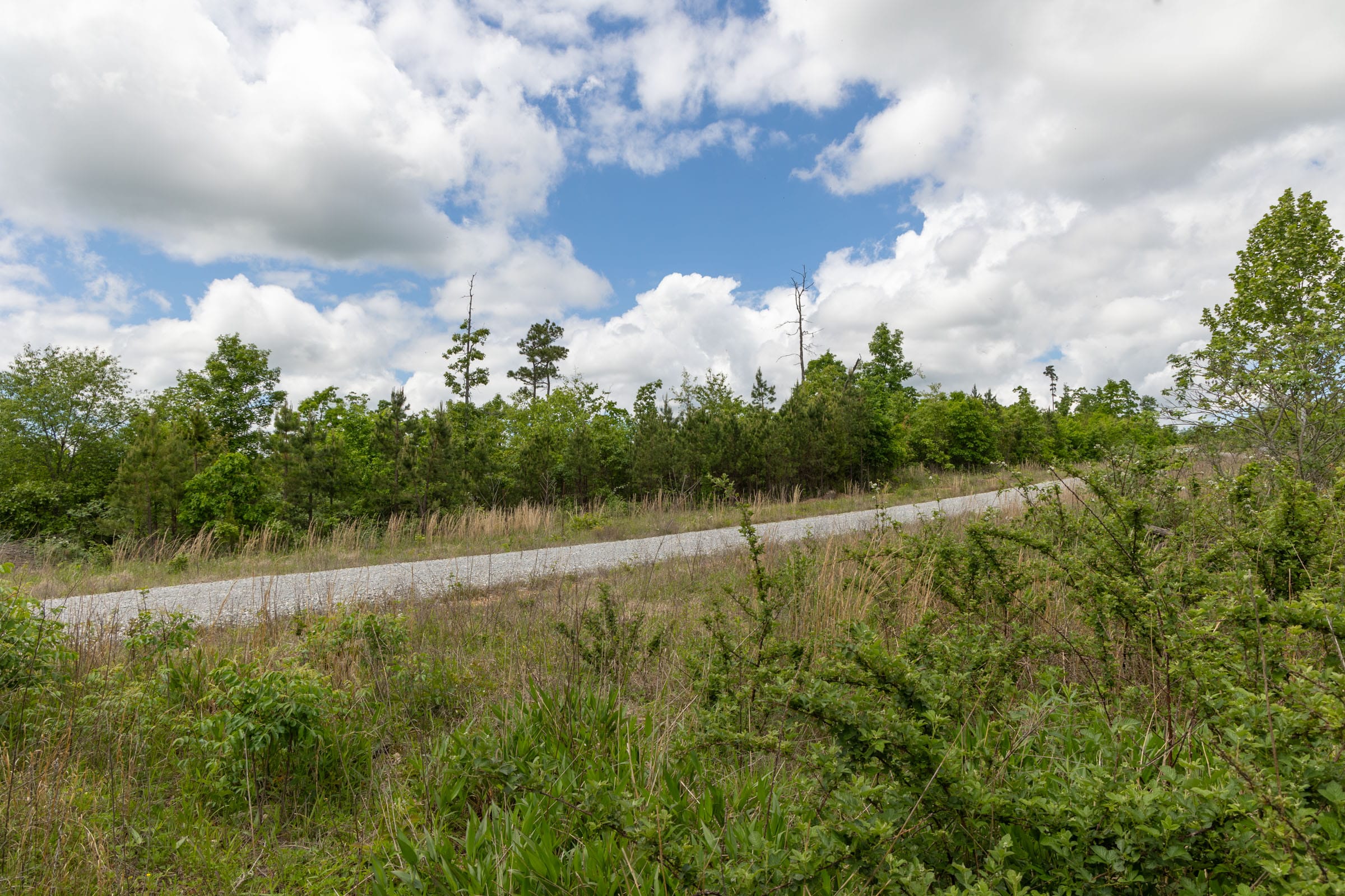 Sleepy Hollow Phase II Tract 85 photo 7