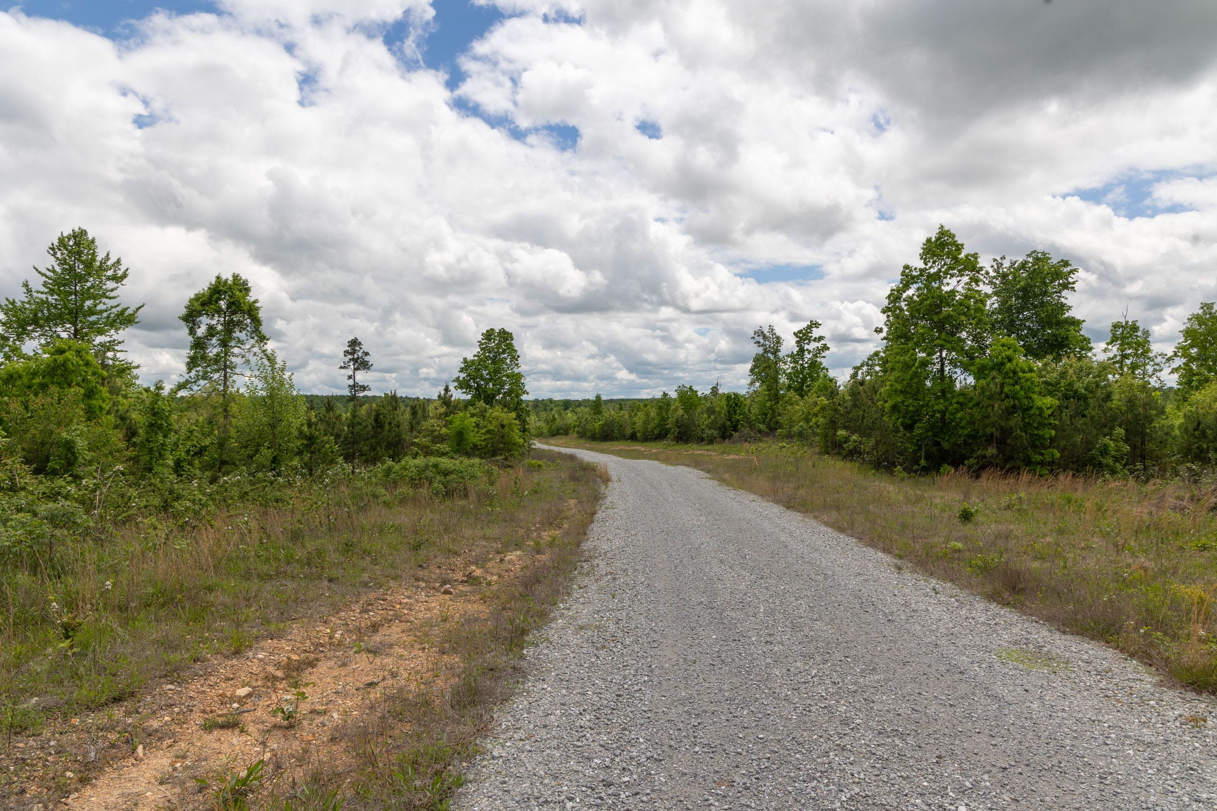 Sleepy Hollow Phase II Tract 85 photo 6