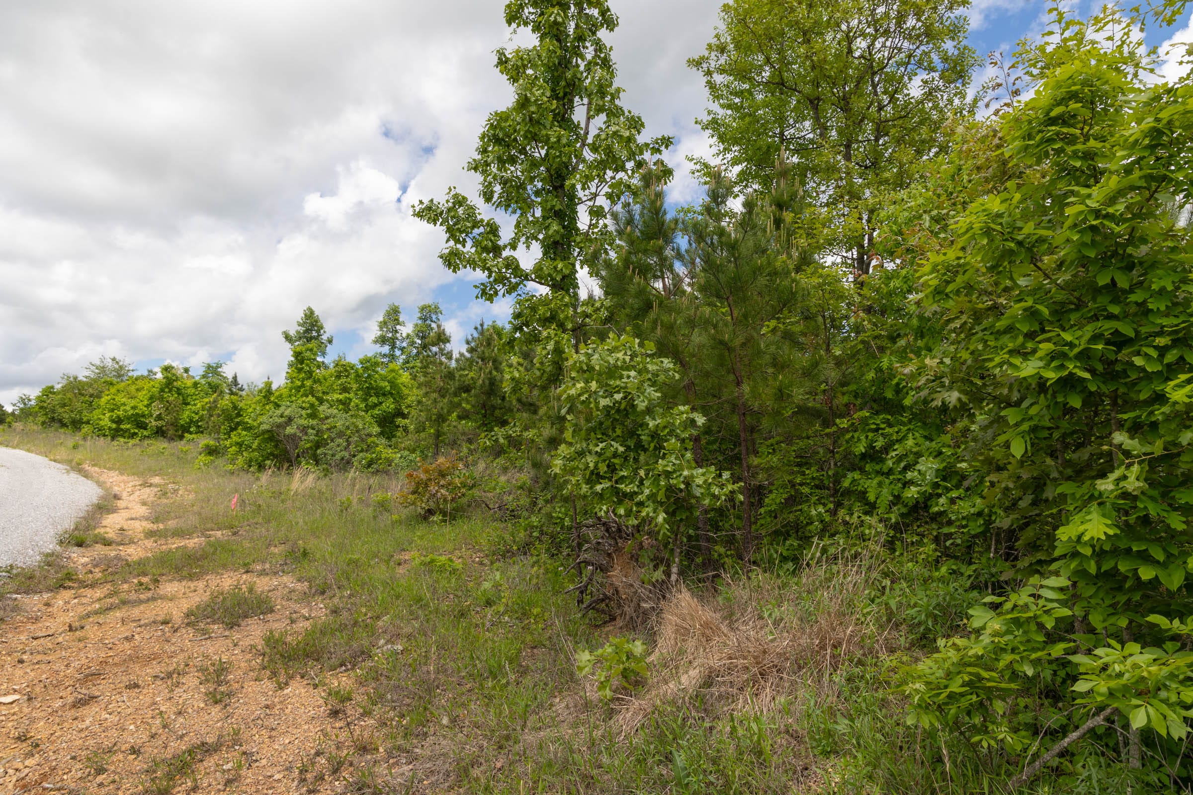 Sleepy Hollow Phase II Tract 85 photo 14