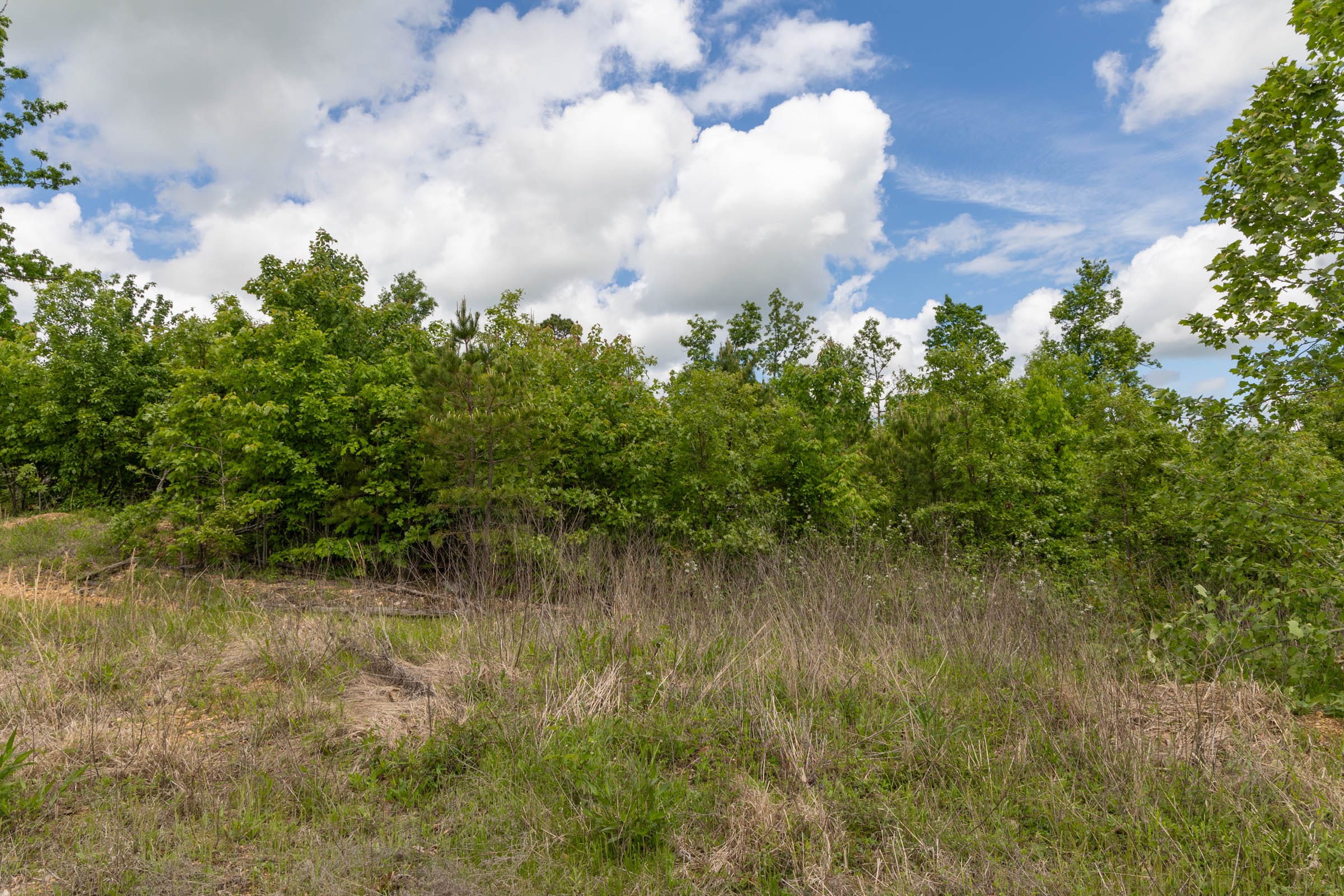 Sleepy Hollow Phase II Tract 85 photo 10