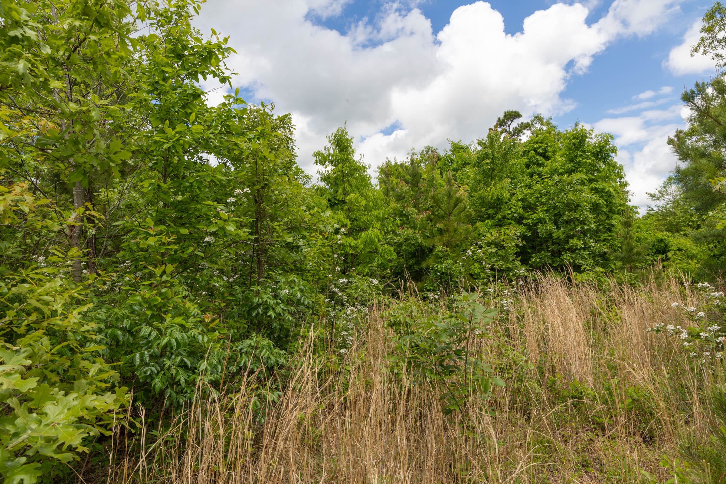 Sleepy Hollow Phase II Tract 85 photo 9