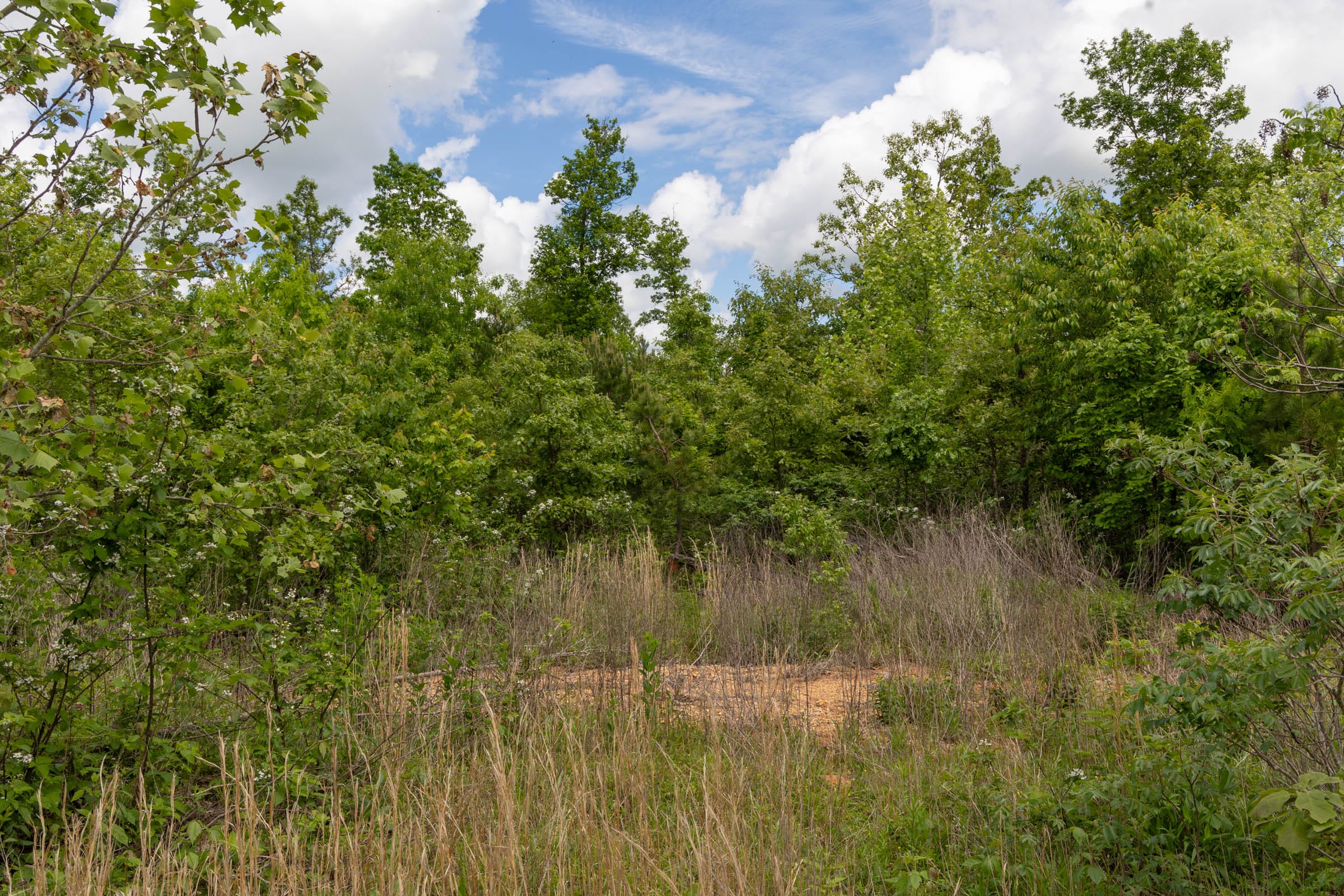 Sleepy Hollow Phase II Tract 85 photo 8