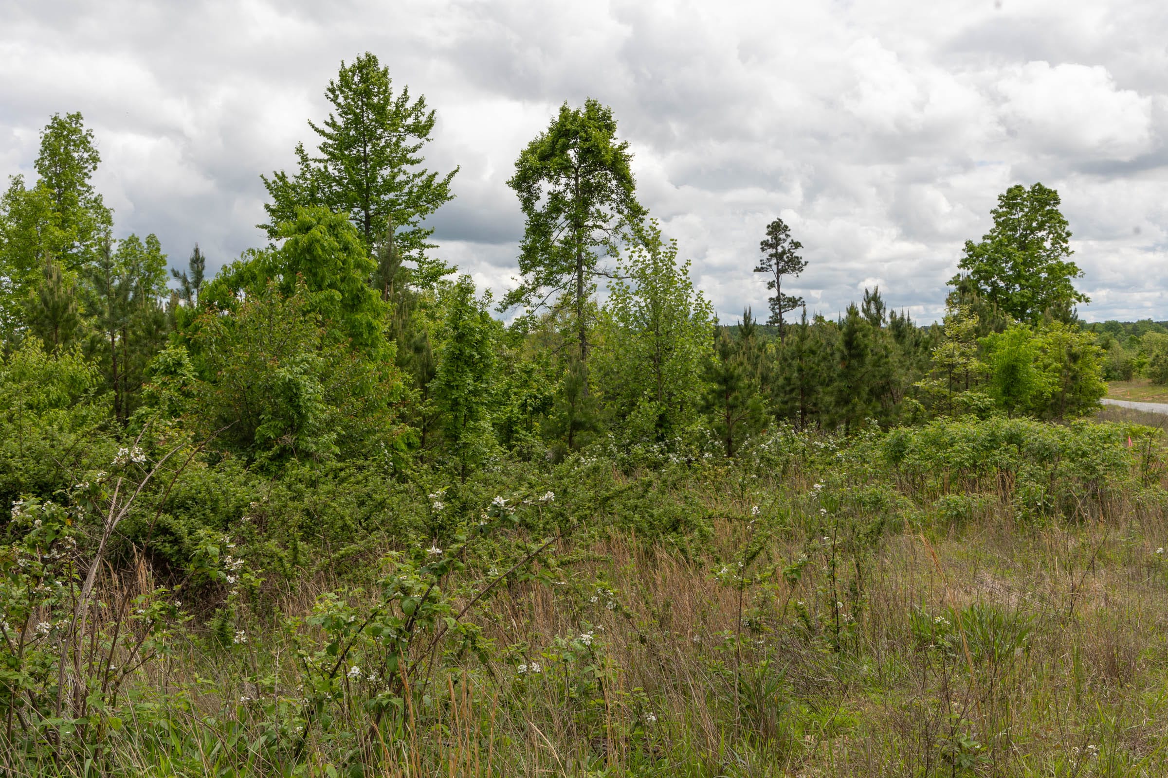 Sleepy Hollow Phase II Tract 85 photo 1