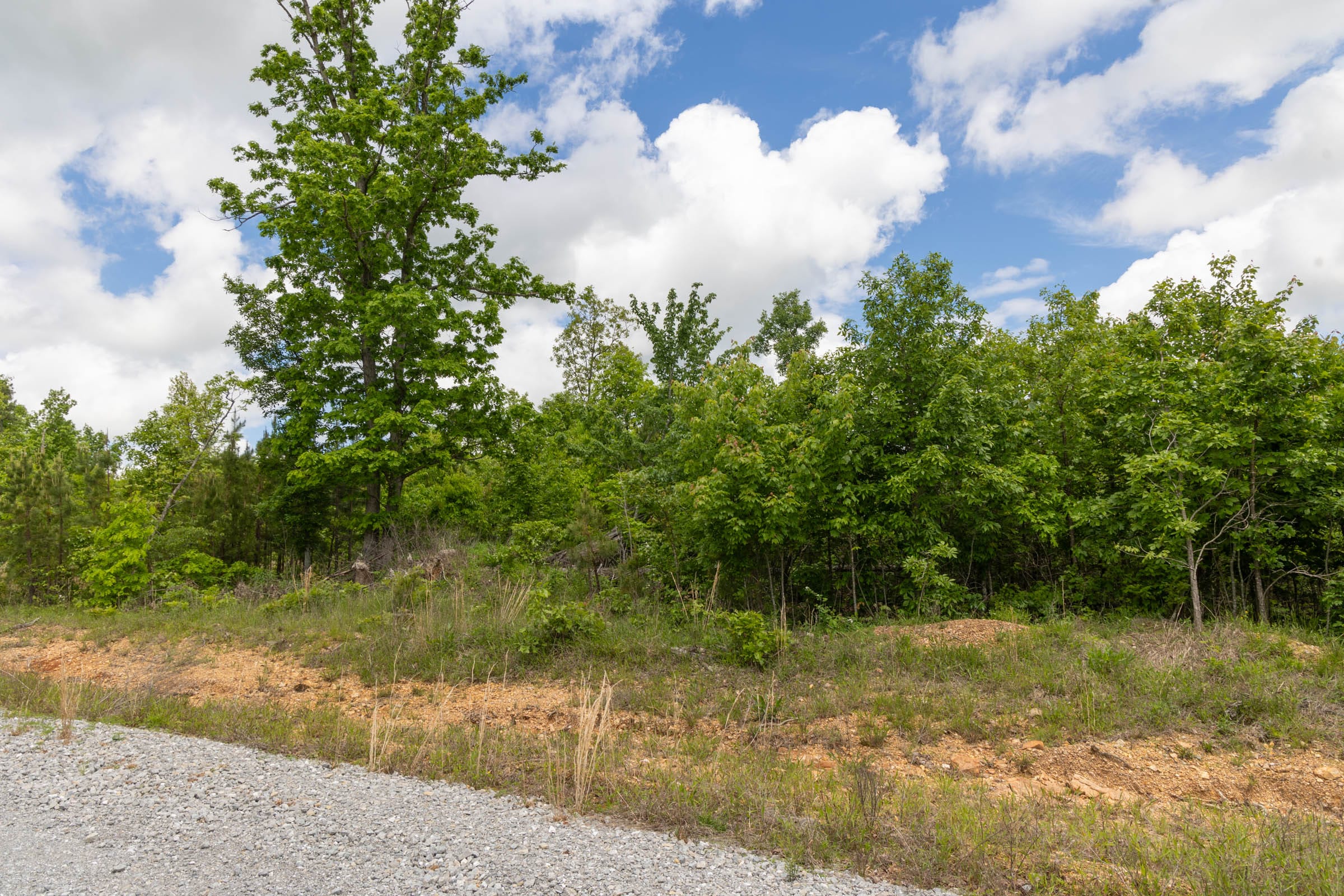 Sleepy Hollow Phase II Tract 85 photo 4
