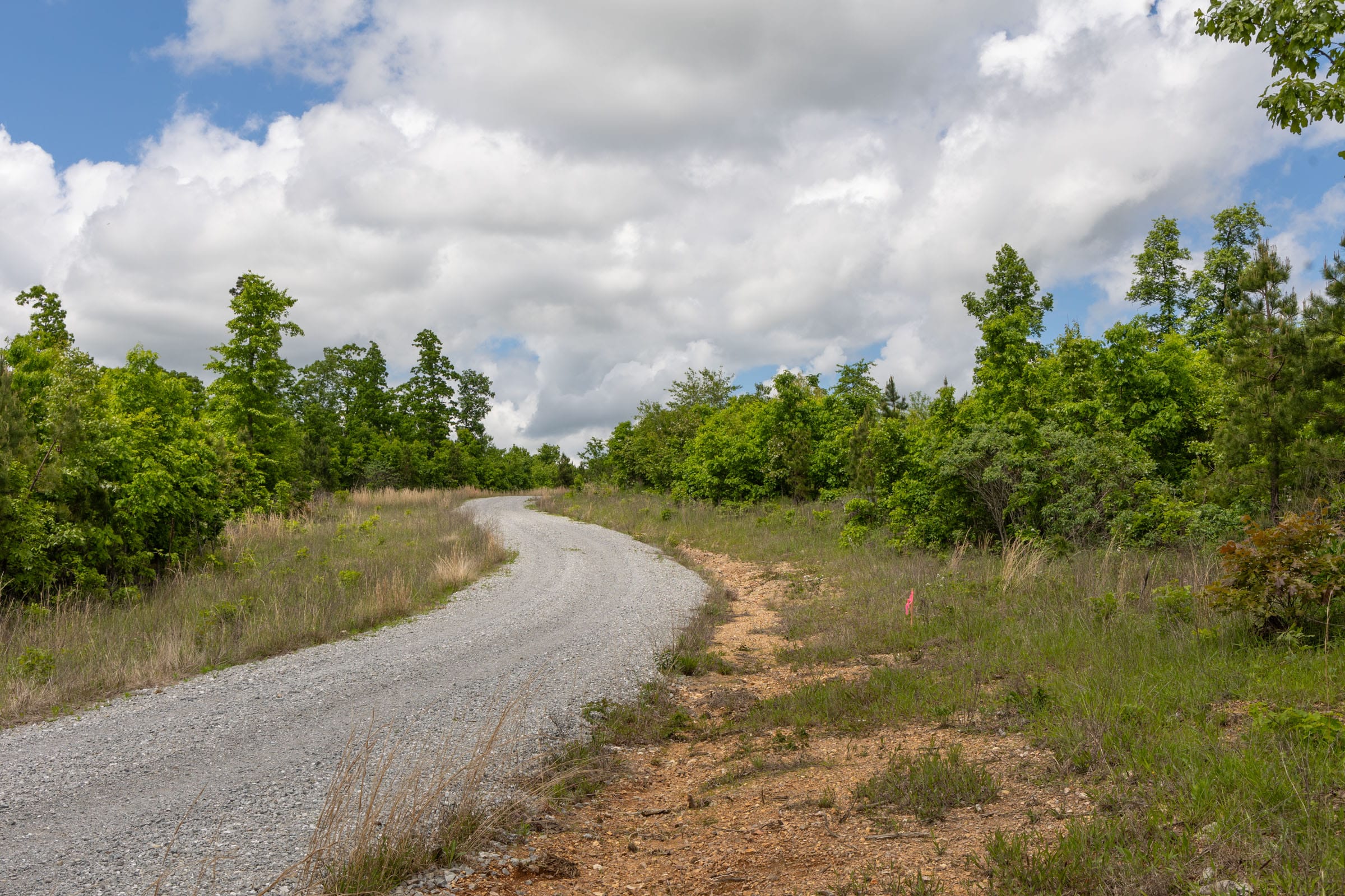 Sleepy Hollow Phase II Tract 85 photo 3