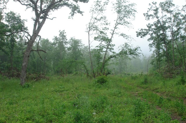 Deer Valley Tract 20 photo 8