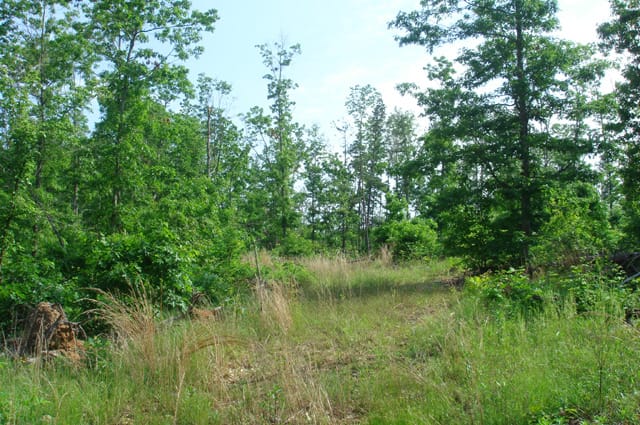 Deer Valley Tract 20 photo 11