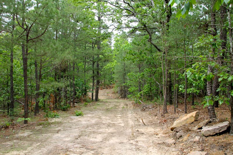 Trophy Ridge Phase II Tract 88 photo 1