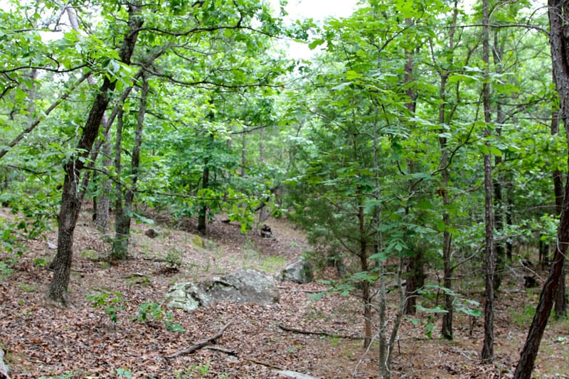 Trophy Ridge Phase II Tract 88 photo 7