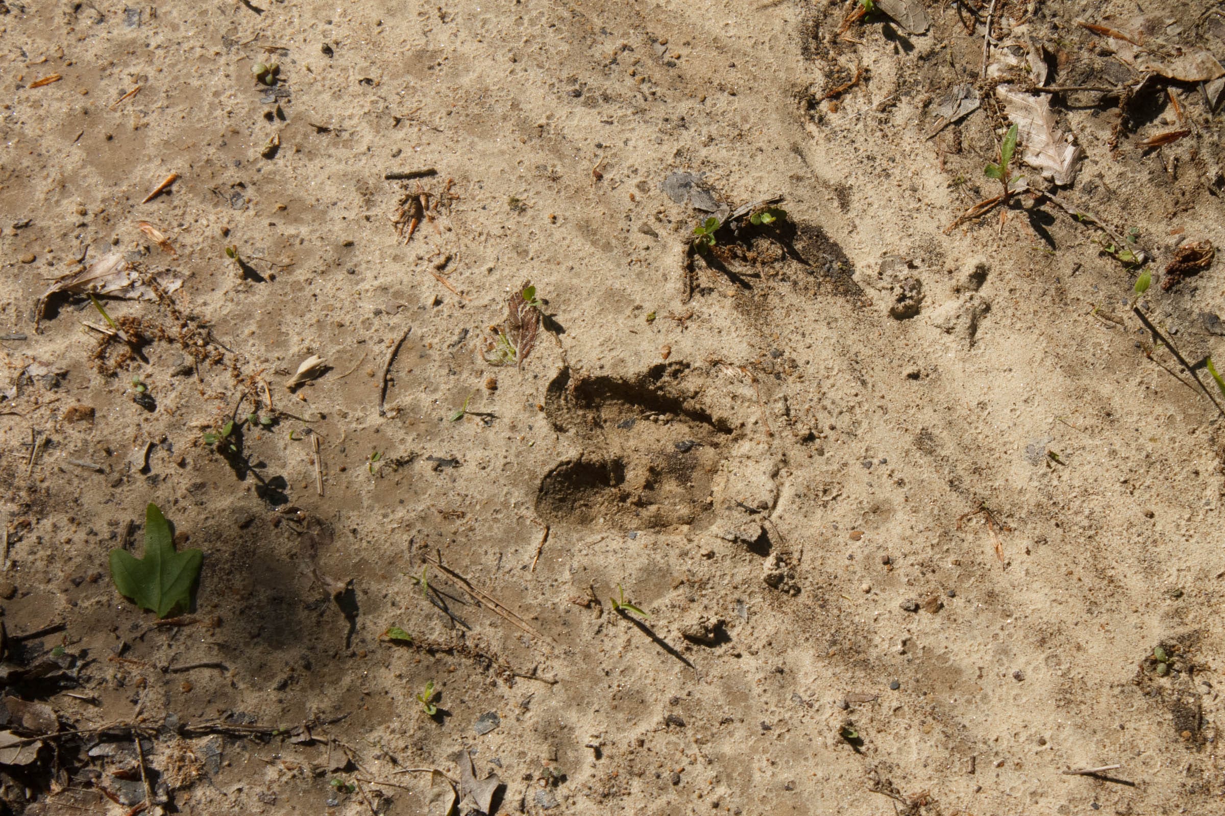 Riverbend Tract 33 photo 4