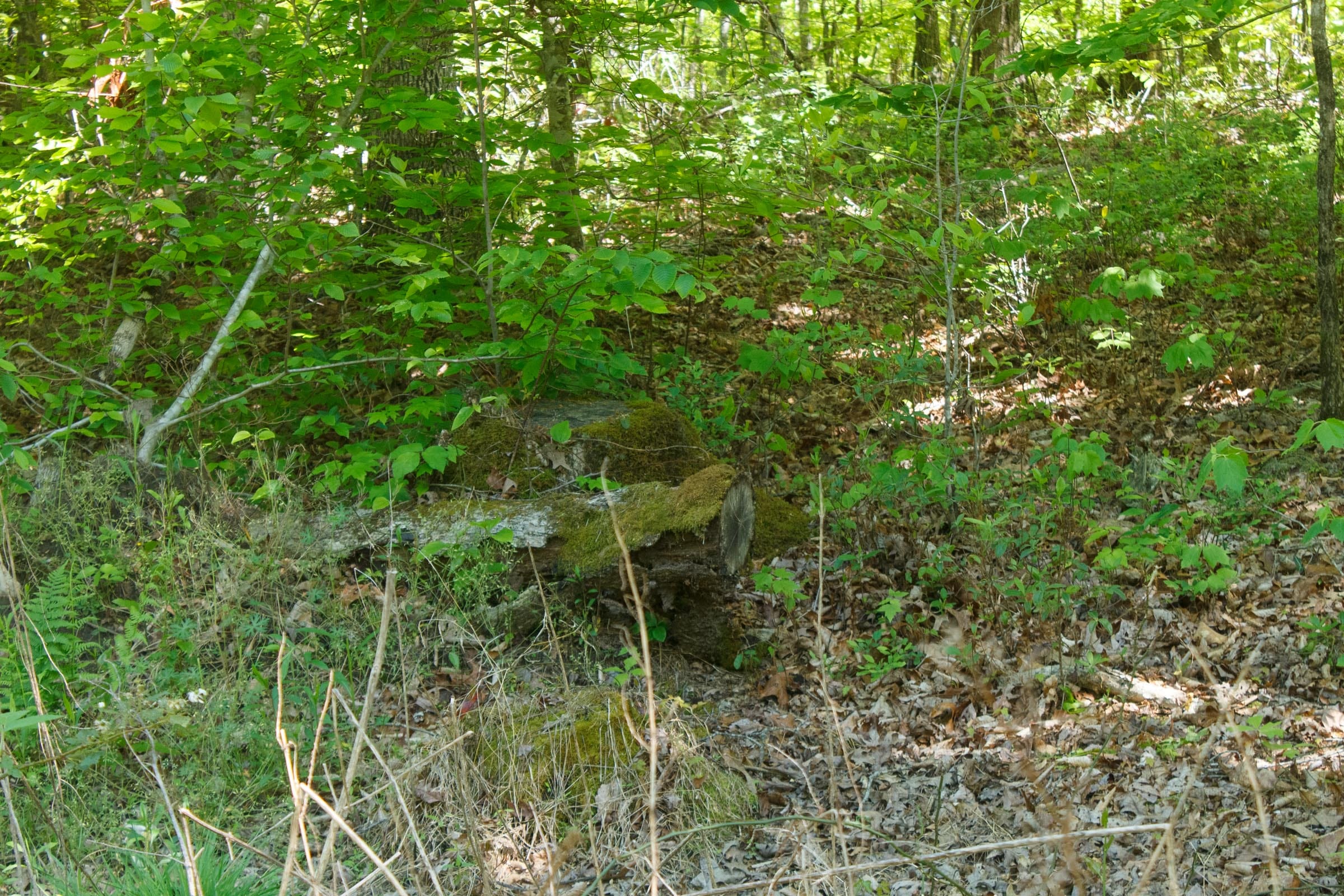 Riverbend Tract 33 photo 12